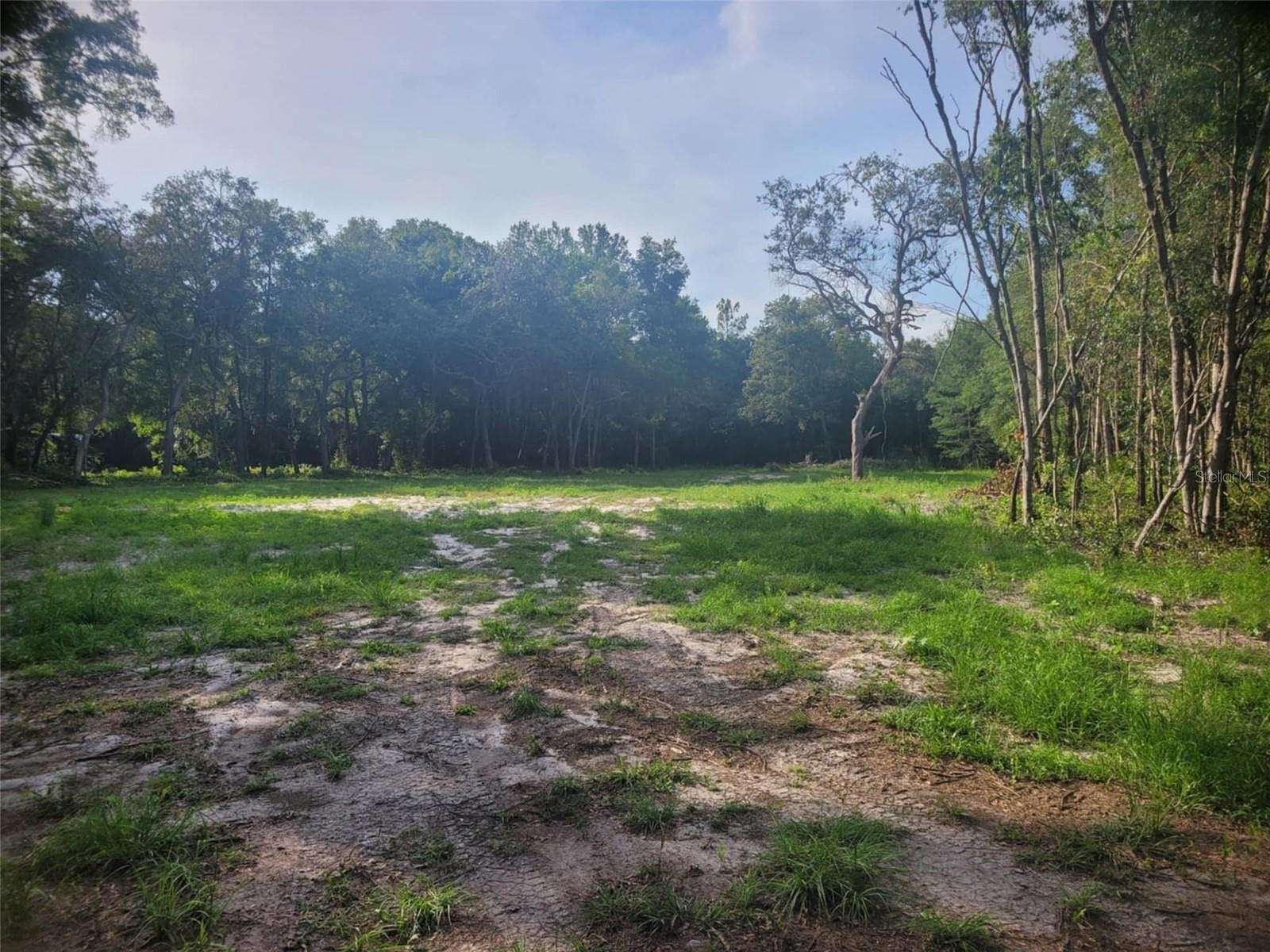 1.25 Acres of Residential Land for Sale in Dunnellon, Florida