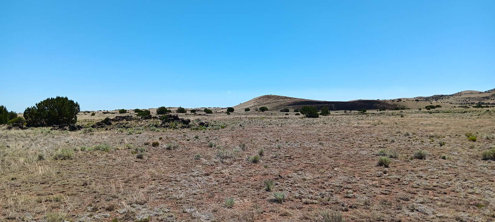 1 Acre of Residential Land for Sale in Concho, Arizona