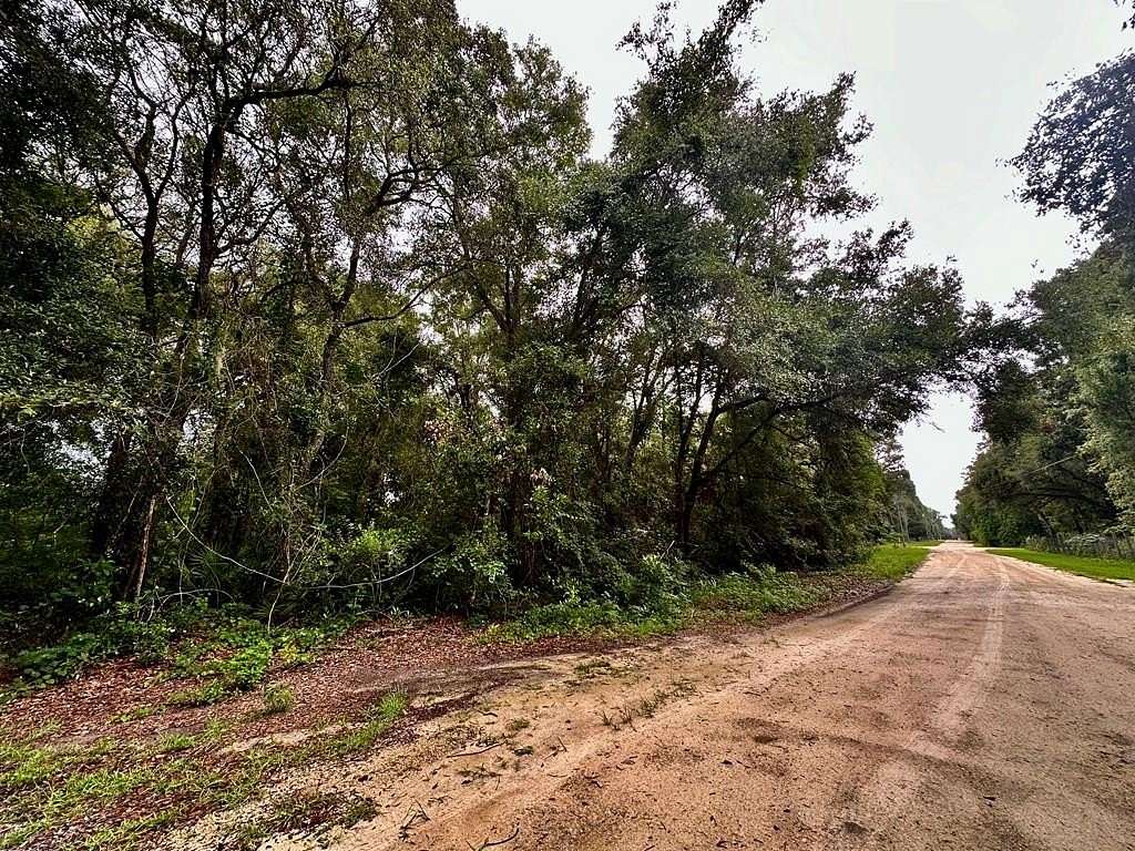 0.46 Acres of Land for Sale in Chiefland, Florida