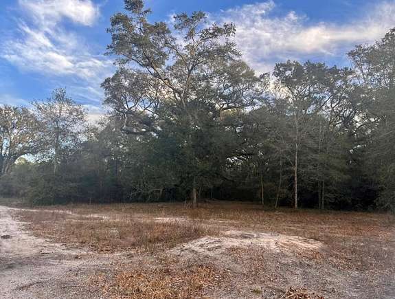 8 Acres of Land for Sale in Old Town, Florida