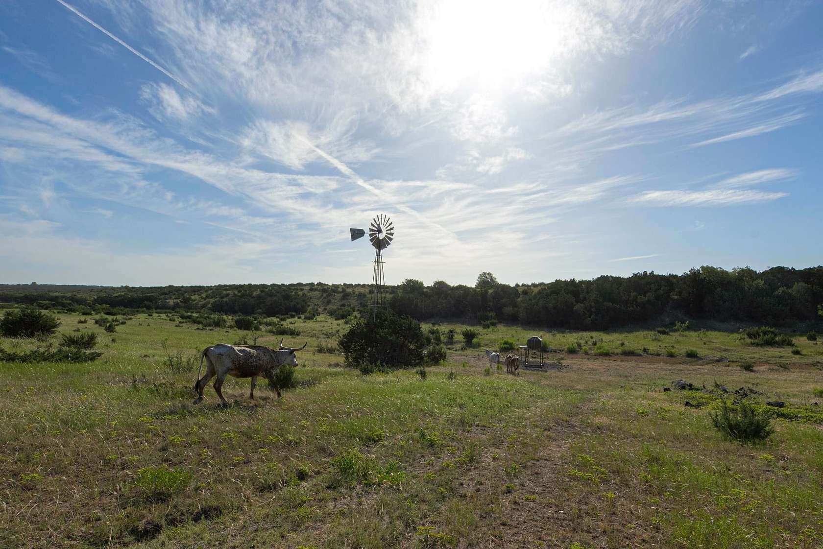 1071.71 Acres of Land for Sale in Sweetwater, Texas