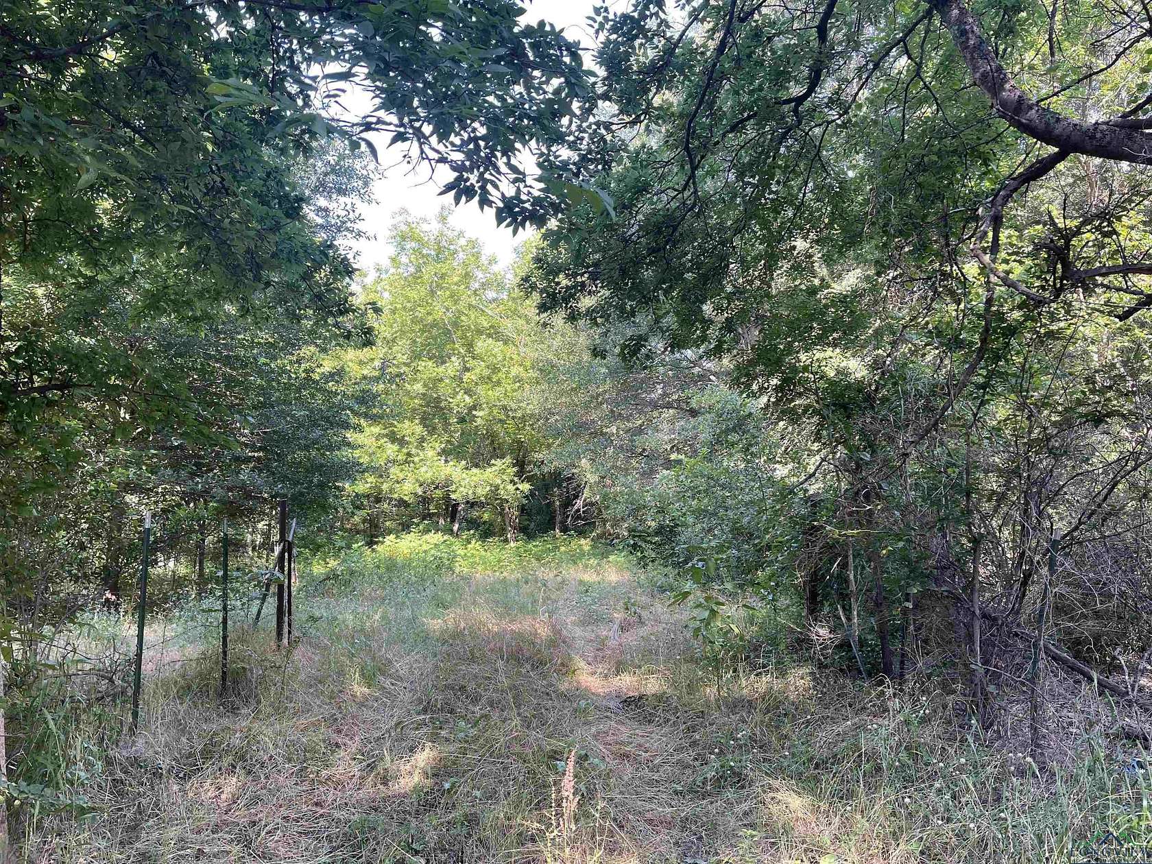 19.862 Acres of Land for Sale in Mineola, Texas
