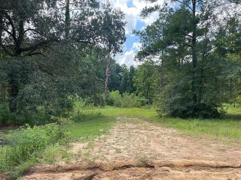 2.67 Acres of Residential Land for Sale in Uvalda, Georgia