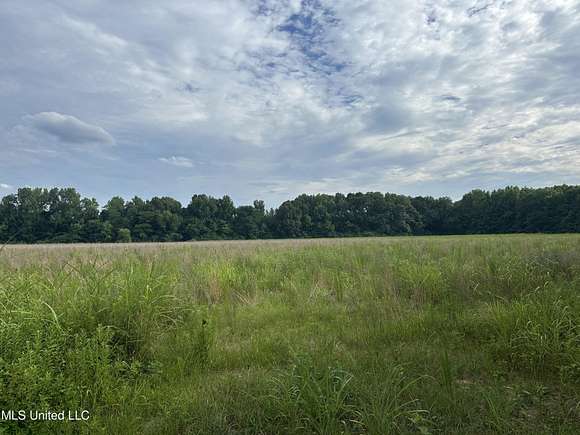 160.52 Acres of Recreational Land for Sale in Olive Branch, Mississippi