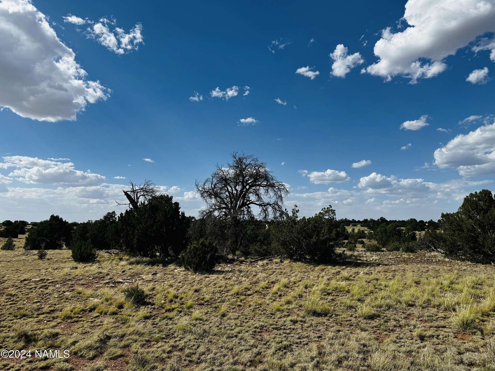 1.09 Acres of Land for Sale in Williams, Arizona