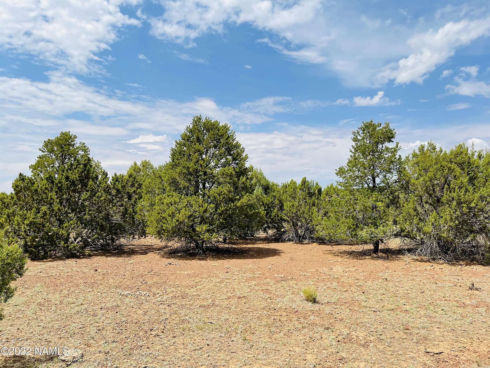 13 Acres of Land for Sale in Williams, Arizona