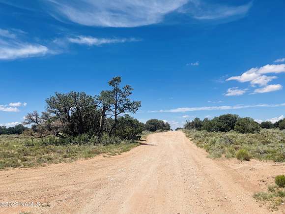 18.48 Acres of Recreational Land & Farm for Sale in Williams, Arizona