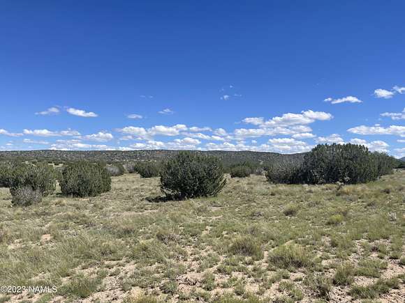 10.05 Acres of Recreational Land for Sale in Williams, Arizona