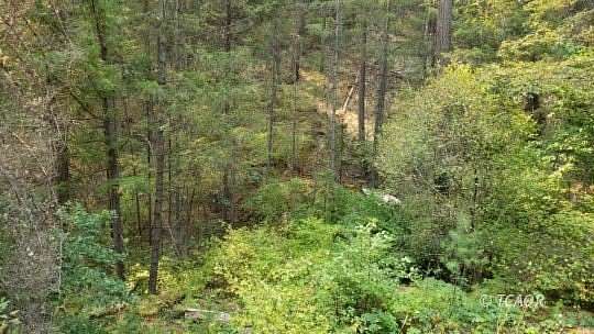 10 Acres of Recreational Land for Sale in Weaverville, California