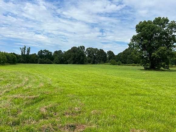 30.5 Acres of Recreational Land for Sale in Leighton, Alabama