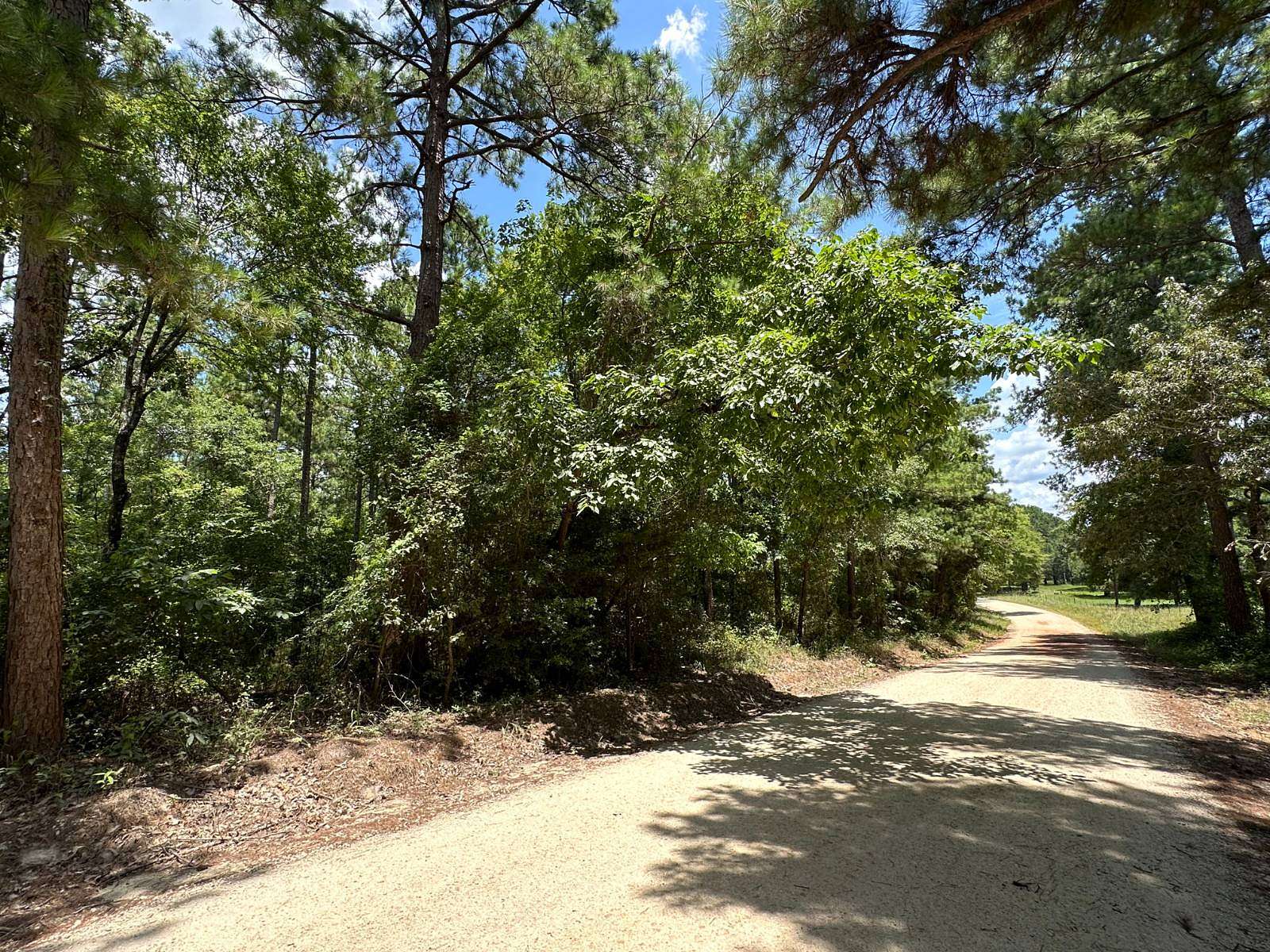 11.5 Acres of Recreational Land for Sale in Grapeland, Texas