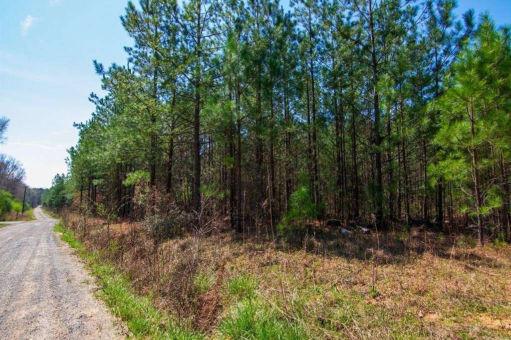 24.3 Acres of Recreational Land for Sale in Waverly Hall, Georgia