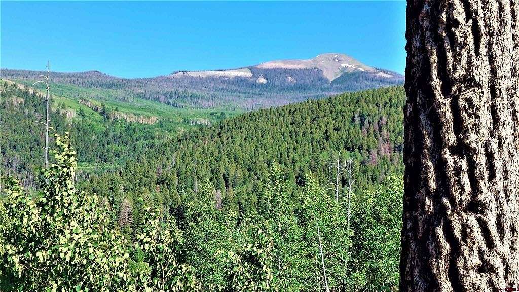 14.04 Acres of Recreational Land for Sale in South Fork, Colorado