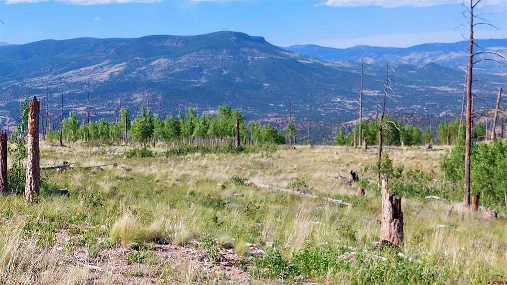 14.04 Acres of Recreational Land for Sale in South Fork, Colorado