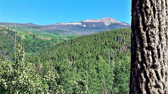 14.04 Acres of Recreational Land for Sale in South Fork, Colorado