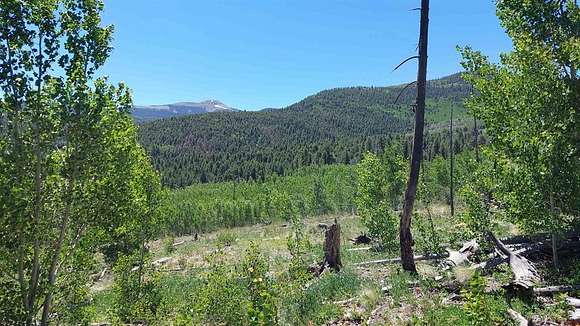 14.04 Acres of Recreational Land for Sale in South Fork, Colorado