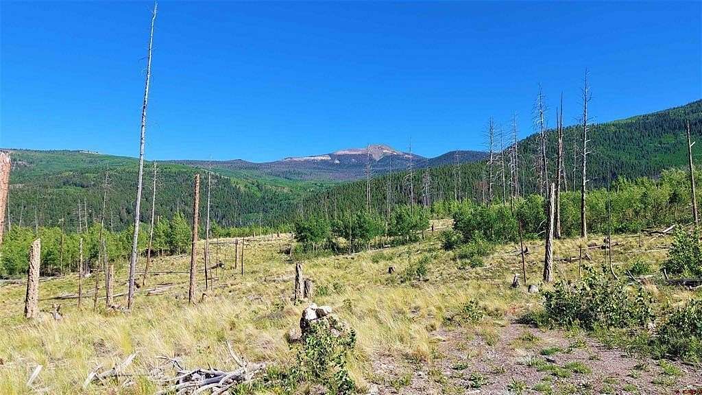 11.14 Acres of Recreational Land for Sale in South Fork, Colorado