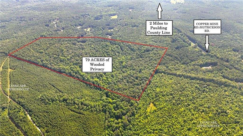 79 Acres of Recreational Land for Sale in Buchanan, Georgia