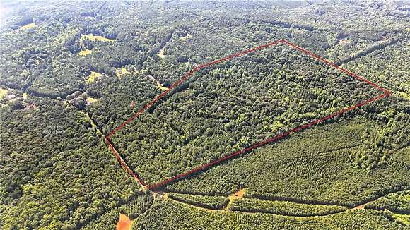 79 Acres of Recreational Land for Sale in Buchanan, Georgia