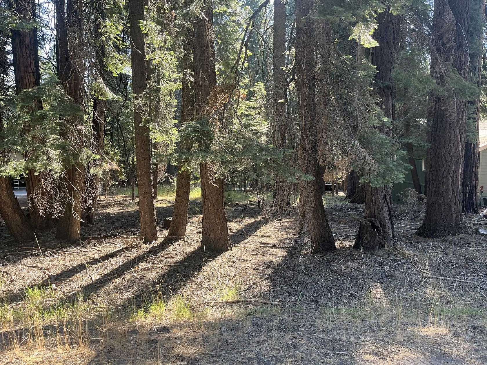 0.37 Acres of Residential Land for Sale in Lake Almanor Country Club, California