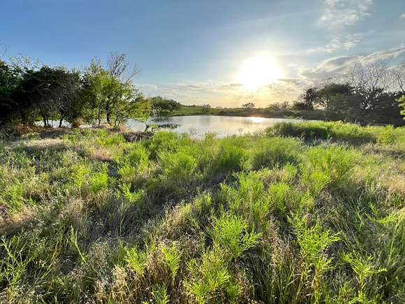 11.95 Acres of Land for Sale in Gustine, Texas