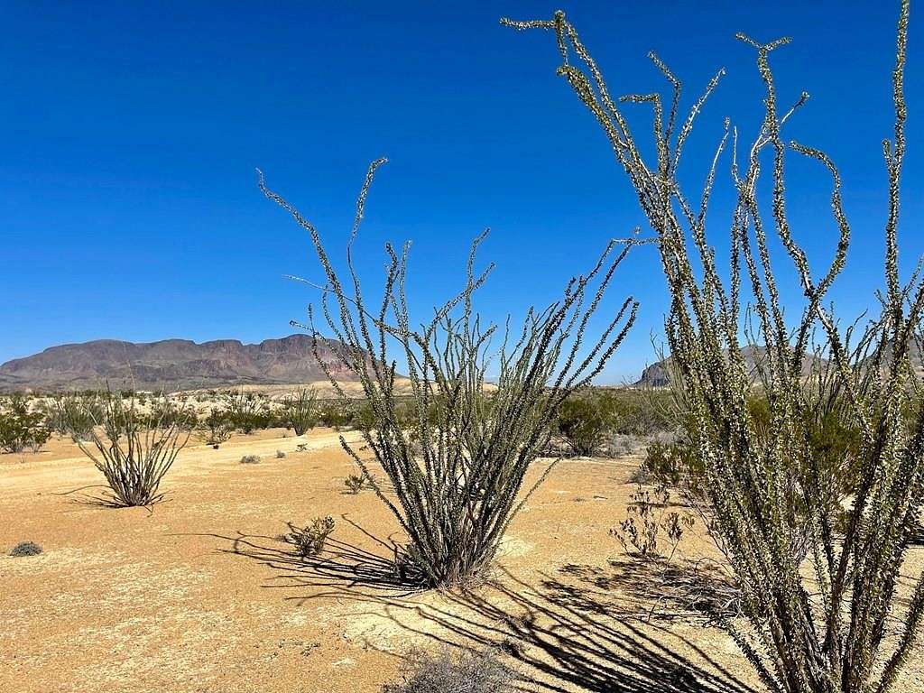 20 Acres of Land for Sale in Terlingua, Texas