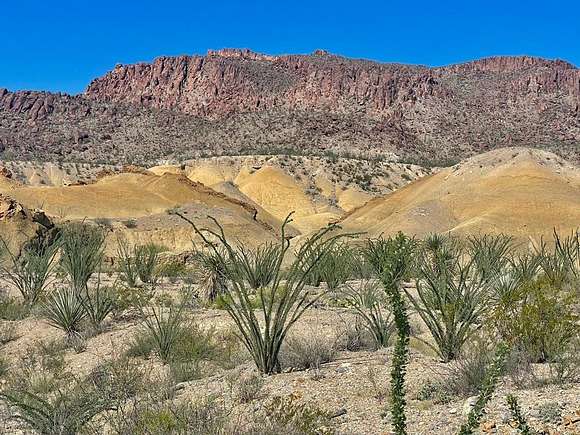 40 Acres of Recreational Land for Sale in Terlingua, Texas