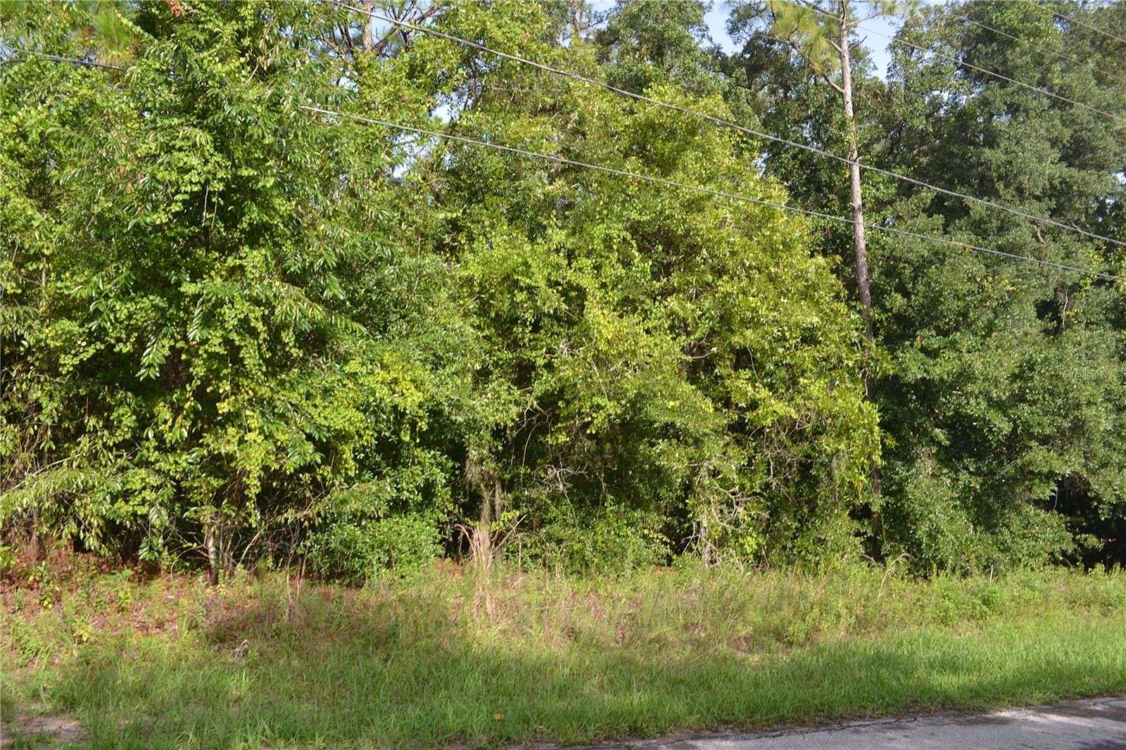 0.98 Acres of Residential Land for Sale in Hernando, Florida