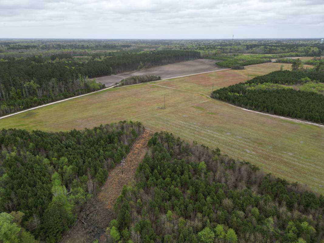 173.78 Acres of Recreational Land & Farm for Sale in Branchville, South Carolina