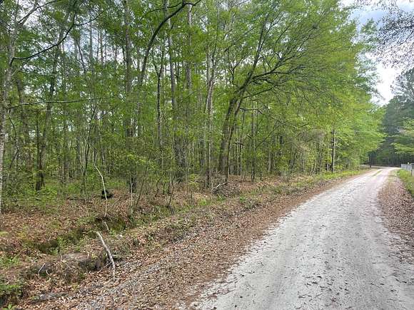 7.22 Acres of Residential Land for Sale in Ridgeland, South Carolina