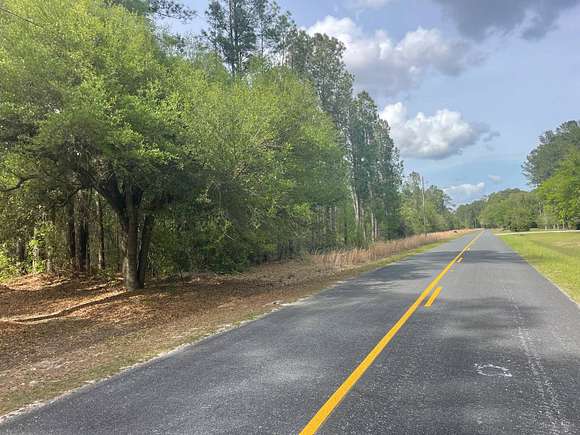 39.3 Acres of Land for Sale in Ridgeland, South Carolina