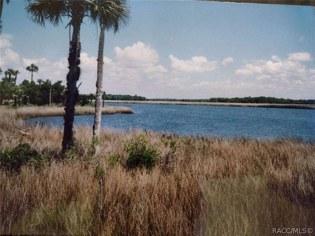 0.34 Acres of Land for Sale in Crystal River, Florida