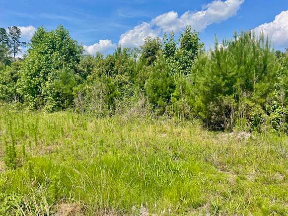 48.5 Acres of Land for Sale in Walterboro, South Carolina