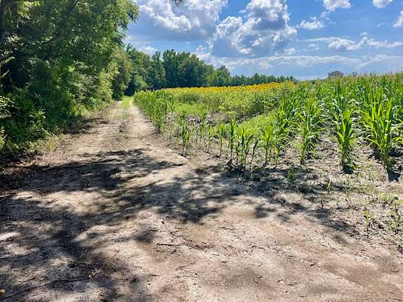 60 Acres of Improved Land for Sale in Orangeburg, South Carolina