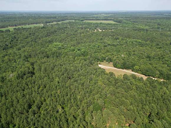 29.34 Acres of Recreational Land & Farm for Sale in Salley, South Carolina