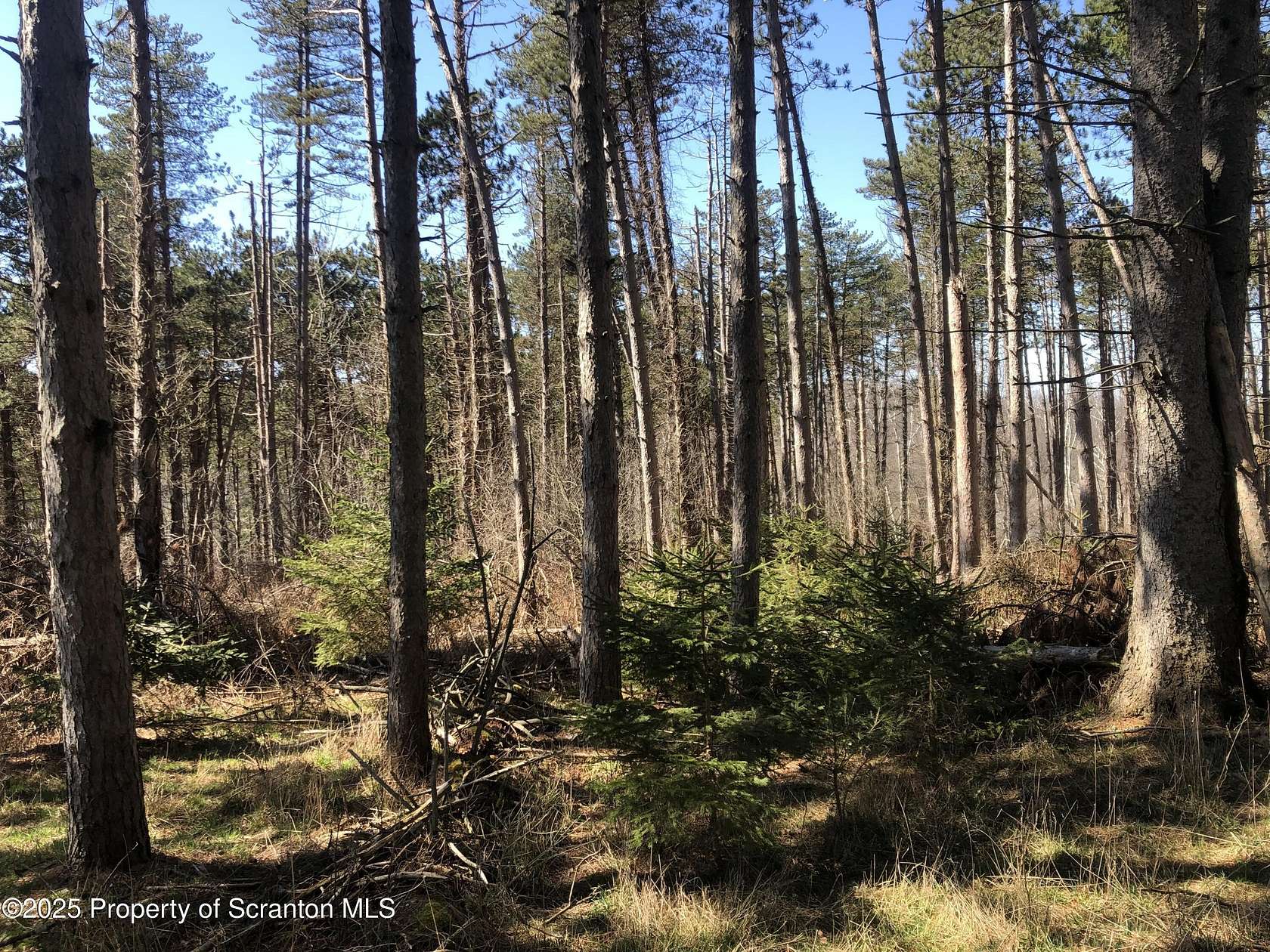 2.67 Acres of Residential Land for Sale in Waverly, Pennsylvania