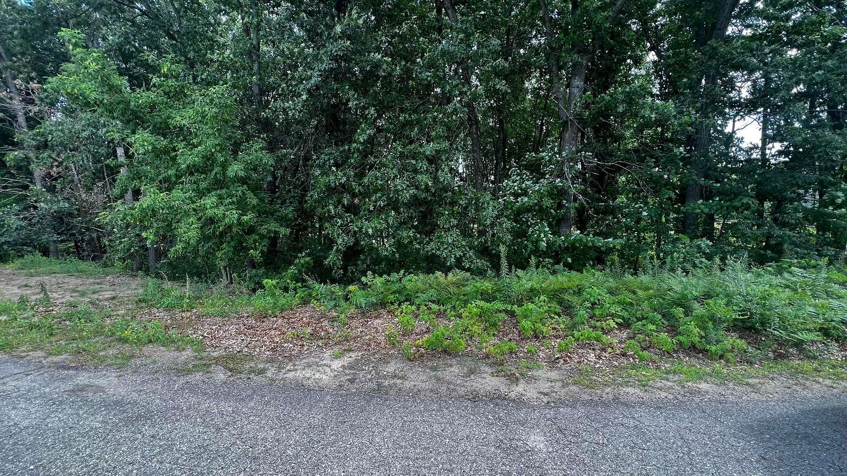 1.54 Acres of Residential Land for Sale in Gowen, Michigan