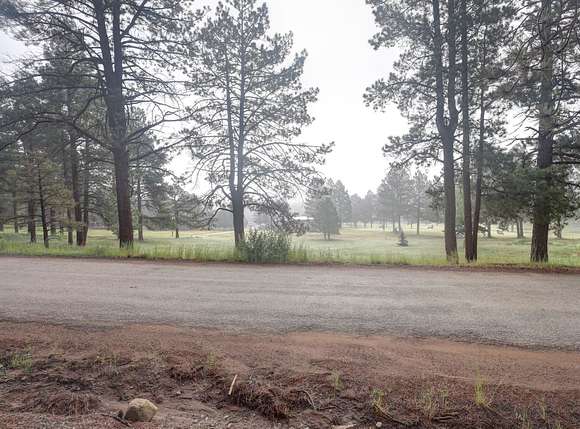 0.5 Acres of Residential Land for Sale in Angel Fire, New Mexico