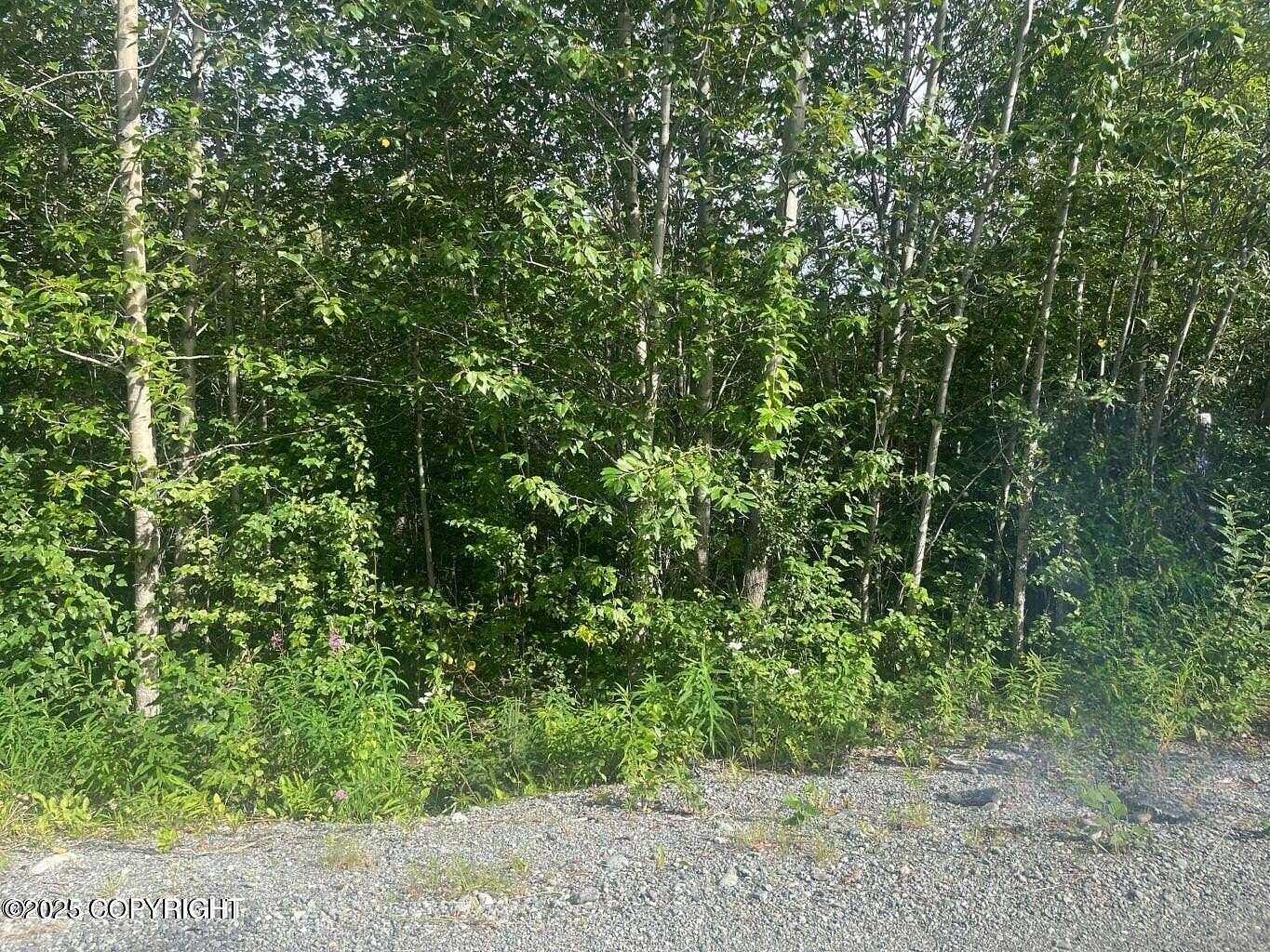 2 Acres of Residential Land for Sale in Palmer, Alaska