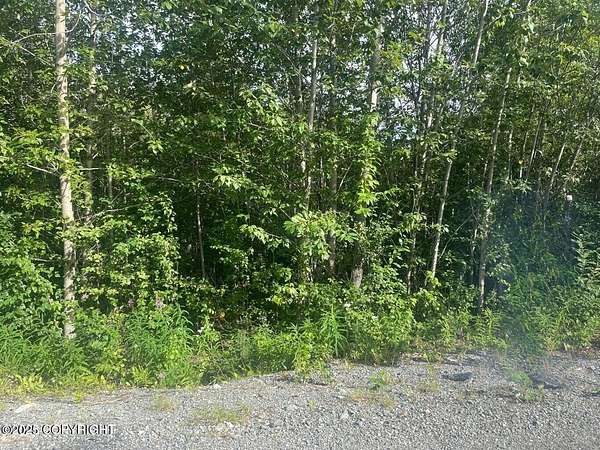 2 Acres of Residential Land for Sale in Palmer, Alaska