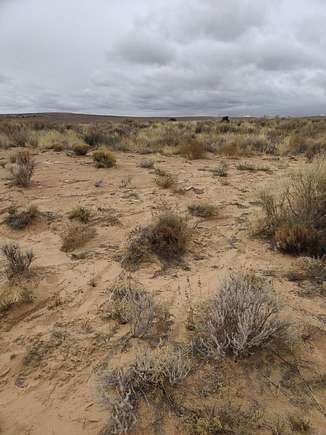 1.2 Acres of Land for Sale in Rio Rancho, New Mexico