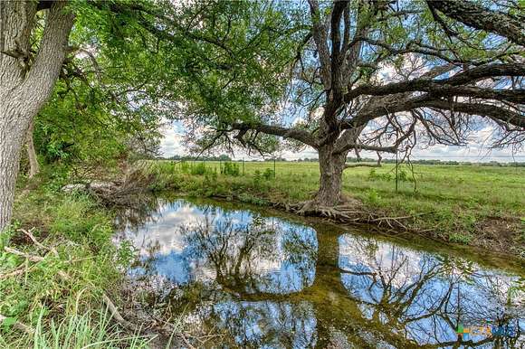 31.12 Acres of Land for Sale in Briggs, Texas