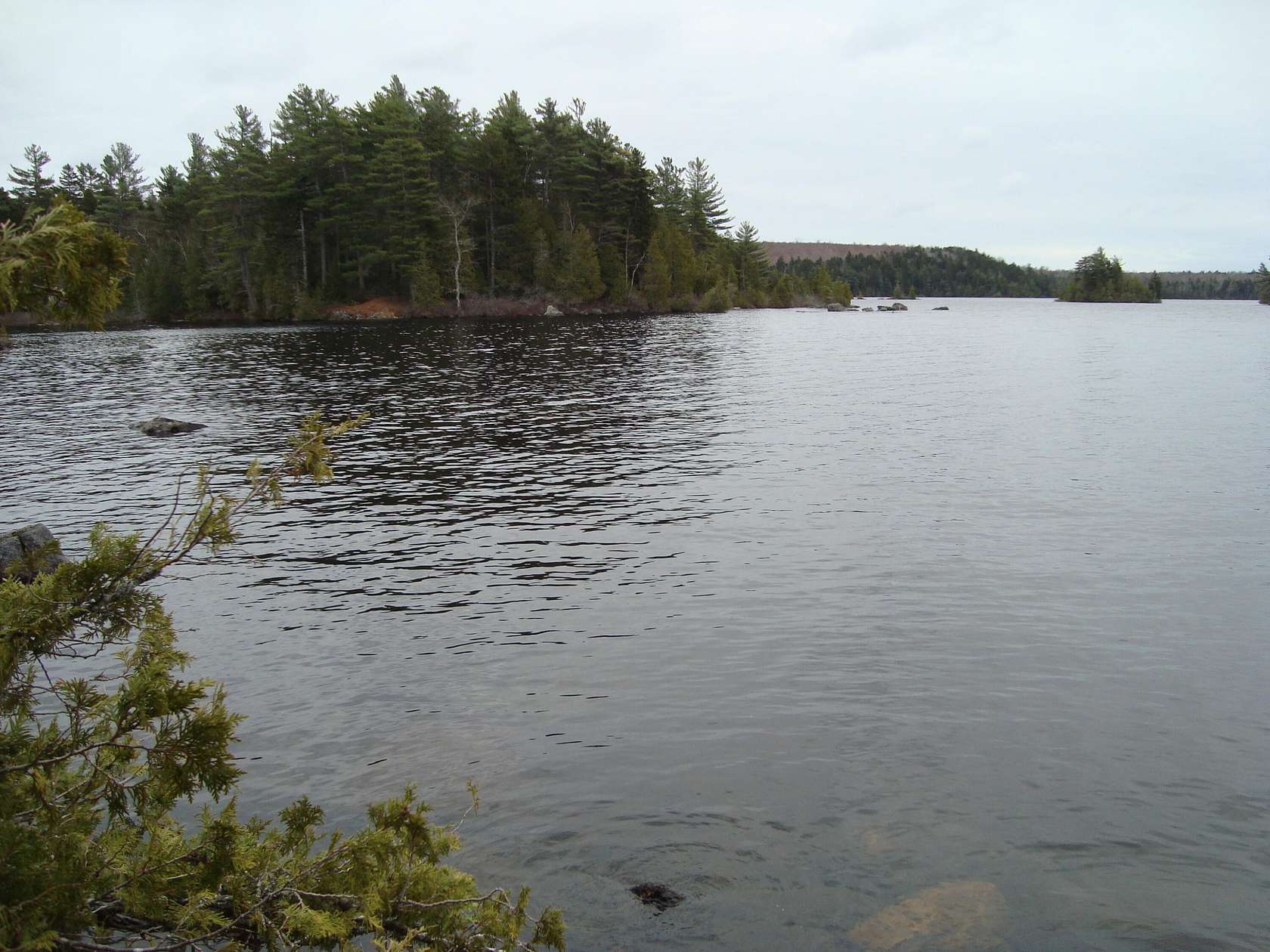 2.49 Acres of Land for Sale in Cooper, Maine