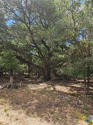 0.647 Acres of Residential Land for Sale in Morgan's Point Resort, Texas