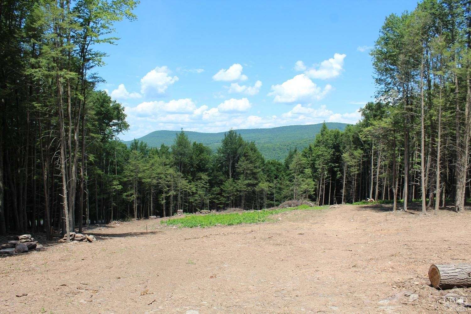 3 Acres of Residential Land for Sale in Prattsville, New York