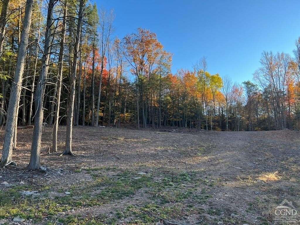 3 Acres of Residential Land for Sale in Prattsville, New York