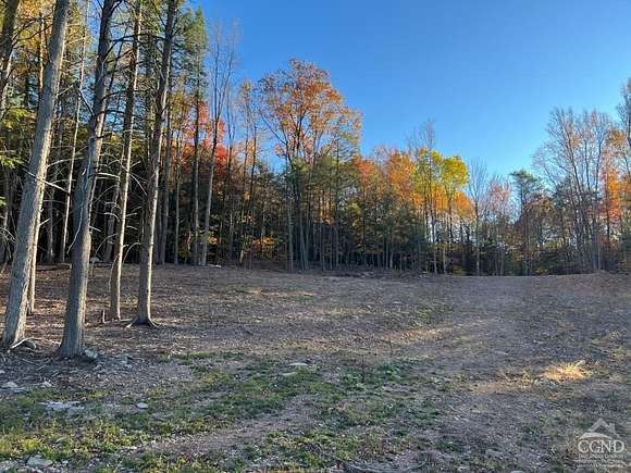 3 Acres of Residential Land for Sale in Prattsville, New York