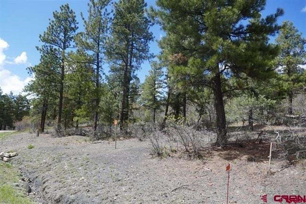 0.26 Acres of Residential Land for Sale in Pagosa Springs, Colorado