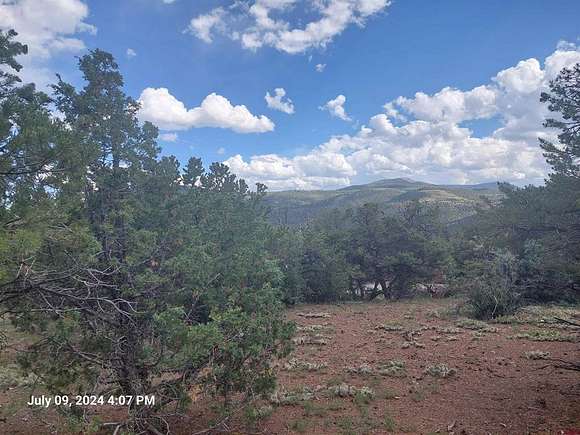 0.58 Acres of Residential Land for Sale in South Fork, Colorado