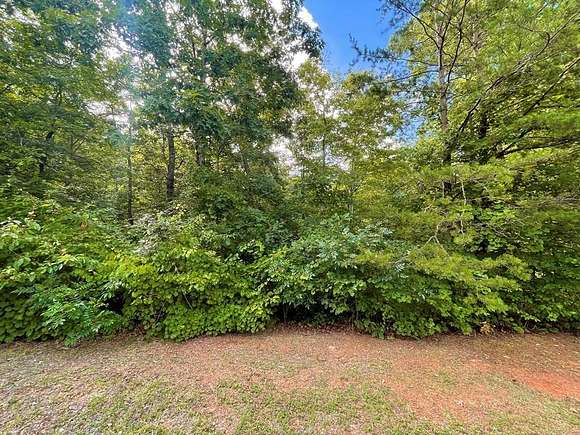 1.01 Acres of Residential Land for Sale in Ellijay, Georgia